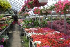 Garden-Center-Eldersburg-Maryland