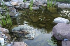 Pond-Carroll-County-Maryland